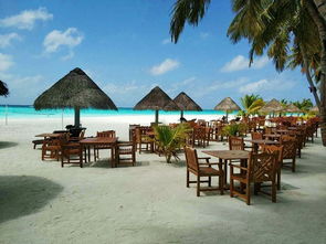 马尔代夫尼岛老板如何经营美丽的度假胜地（马尔代夫度假村）
