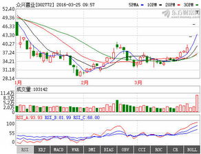 为什么阿里巴巴的股价可能下跌50