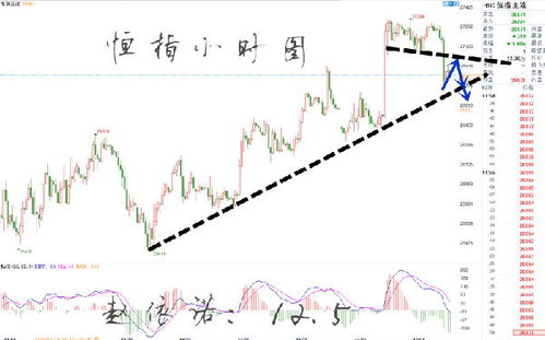 赵依诺 12.5 弱势反弹,有心无力维持高空 