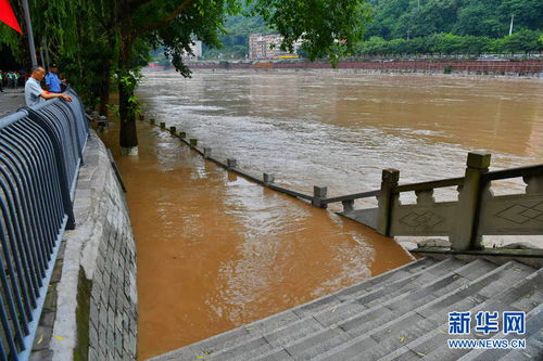 綦河水位上涨 直击洪水过境重庆綦江