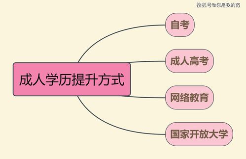 成人自考山东网络大学,山东大学网络教育报名时间是什么时候？(图2)