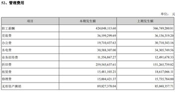 请问管理费用中其它包括什么.年底需要调整吗.如要调整，怎么调整！