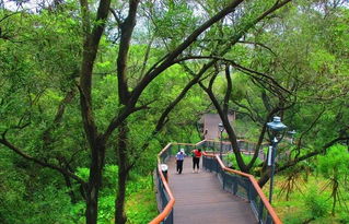 亲子度假！福州金鸡山公园,福州金鸡山公园介绍（观光游览的好地方）