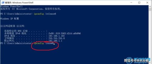 如何使用清华隧道上ipv6win10