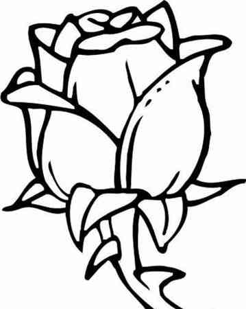 玫瑰怎么画才好看 简笔画,教你画一朵简单的花，花朵简笔画，儿童画？