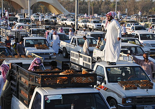 沙特阿拉伯签证办理流程