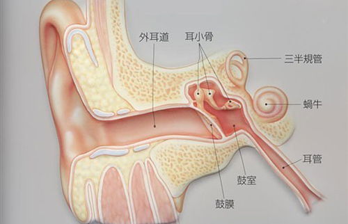 中耳炎治疗要训练咽鼓管功能 康之声助听器