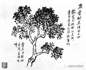 山水画 树石技法画谱,技巧多变简单易学