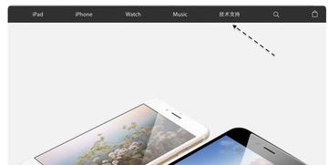 iPhone 6plus后摄像头拍照模糊不清怎么解决 