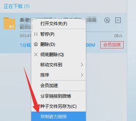 win10迅雷提示任务出错怎么办