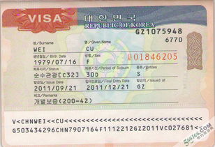 旅游签证怎么办理,国外旅游签证怎么办理