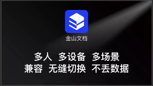 wps公司怎么赚钱，wps是怎么赚钱的(如何利用wps如何赚钱)