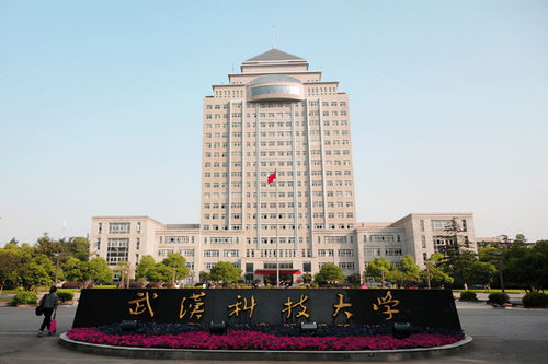 武汉的211大学有哪些学校