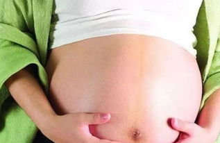 怀孕17周(17周的胎儿大概有多大)