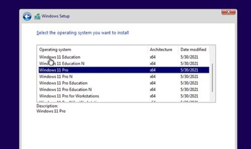 windows10安装失败,Widows10安装失败？专家教你如何解决，让你的系统焕然一新！