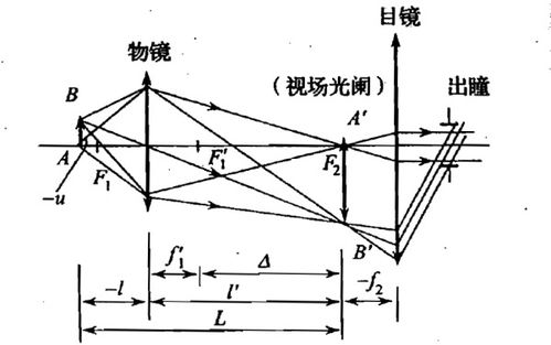 花岗岩，大理岩，石灰岩各有什么特点