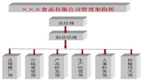 一般公司有哪些部门