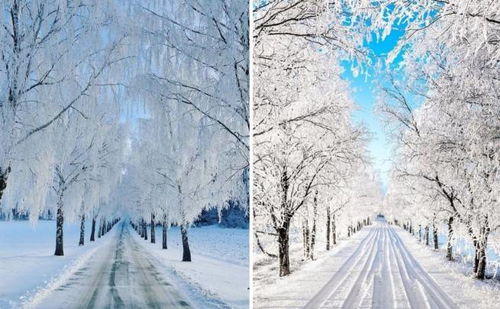 用这10个雪景摄影技巧,迎接冬天的第一场雪吧,帮你把雪景拍美