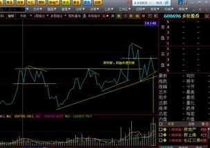 600696后市如何