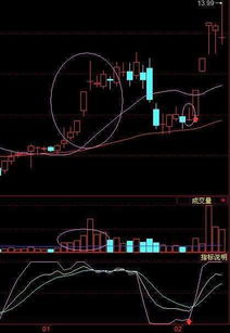 涨停股五挡买一量大是什么意思