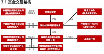 股东对融资过来的钱怎么进行私有化