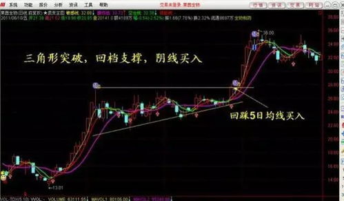 股票量价分析与技巧,股票量价分析的重要性