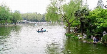 上海长风公园门票全攻略！带你玩转这座城市的绿肺！