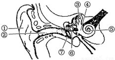 耳是人体的重要感觉器官.听觉是人们获取信息的重要途径.下面是耳的结构模式图.请据图回答 1 能够产生震动.传导震动的结构分别是 和 . 2 人晕车是由于位于耳中的感受器 