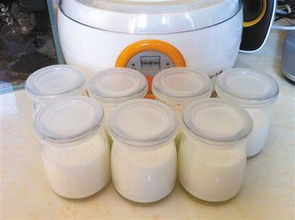 酵母粉能用来自制酸奶吗 