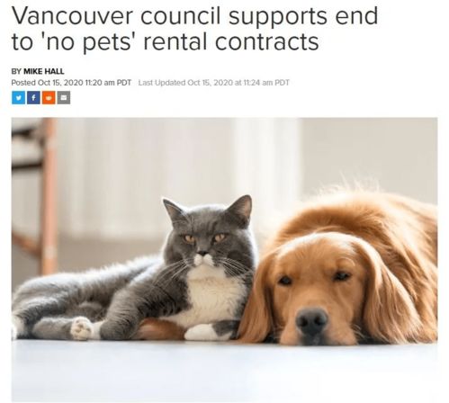 宠物的胜利 温哥华取消租房合同 禁养宠物 条款