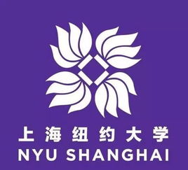 上海纽约大学王牌专业