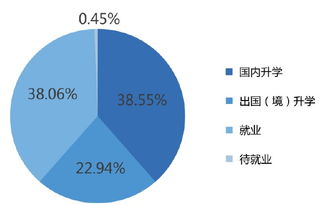 本科生,毕业论文,数据