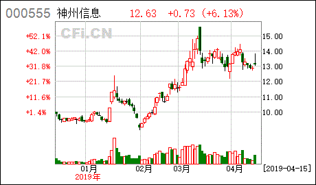 神州数码信息服务股份有限公司的公司概况简介