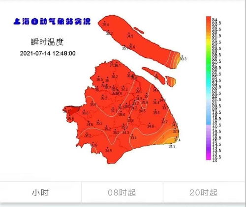 2023横财入命的四大生肖