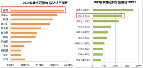 旗帜鲜明地反对桂花成为网红