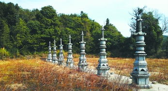 莆田龟山寺,龟山寺在莆田哪里-第2张图片