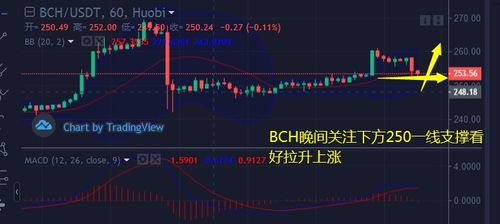 bch 和比特币的区别,克拉币和比特币有什么区别