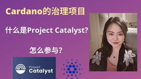 cardano币最新消息前景,Cardao币最新消息:如何影响加密货币市场