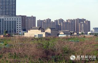 郑州 闲置土地上现豪华四合院 造价上千万 