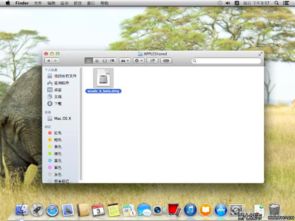 dmg文件怎么在ios打开