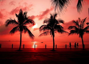 海南旅游攻略,探访海南：热带天堂的魅力之旅