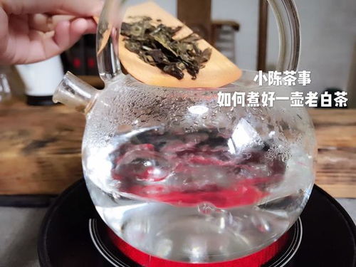 用什么茶具来煮寿眉老白茶  第1张