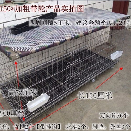 鸡笼子养鸡笼隔断鸽笼兔笼大号养殖加密铁丝猫笼加粗家用折叠鸡舍