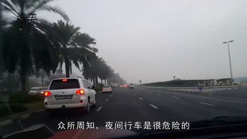 为啥车主说,开夜车 走灰不走白,见黑停下来 新手一定要了解 