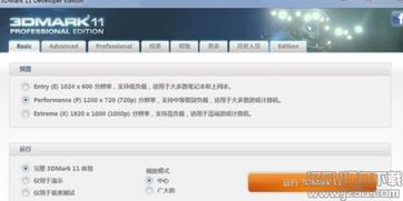 3dmark11专业版
