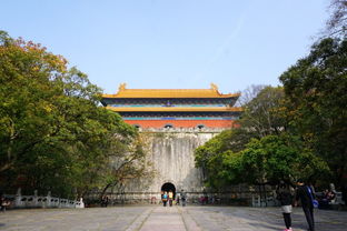 南京旅游景点图片,介绍南京旅游景点
