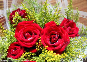 老公去世送什么花,1. 玫瑰：玫瑰是表达爱意的永恒象征，也是悼念逝去亲人的常用花卉