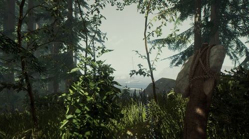 森林游戏围观攻略,森林游戏：生存指南与攻略分享，让你成为真正的丛林之王！