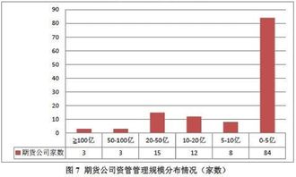 法国索能达这个公司的规模，具体情况怎么样？