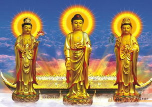 五台山善住寺释仁静法师 信众 阿弥陀佛 的来源